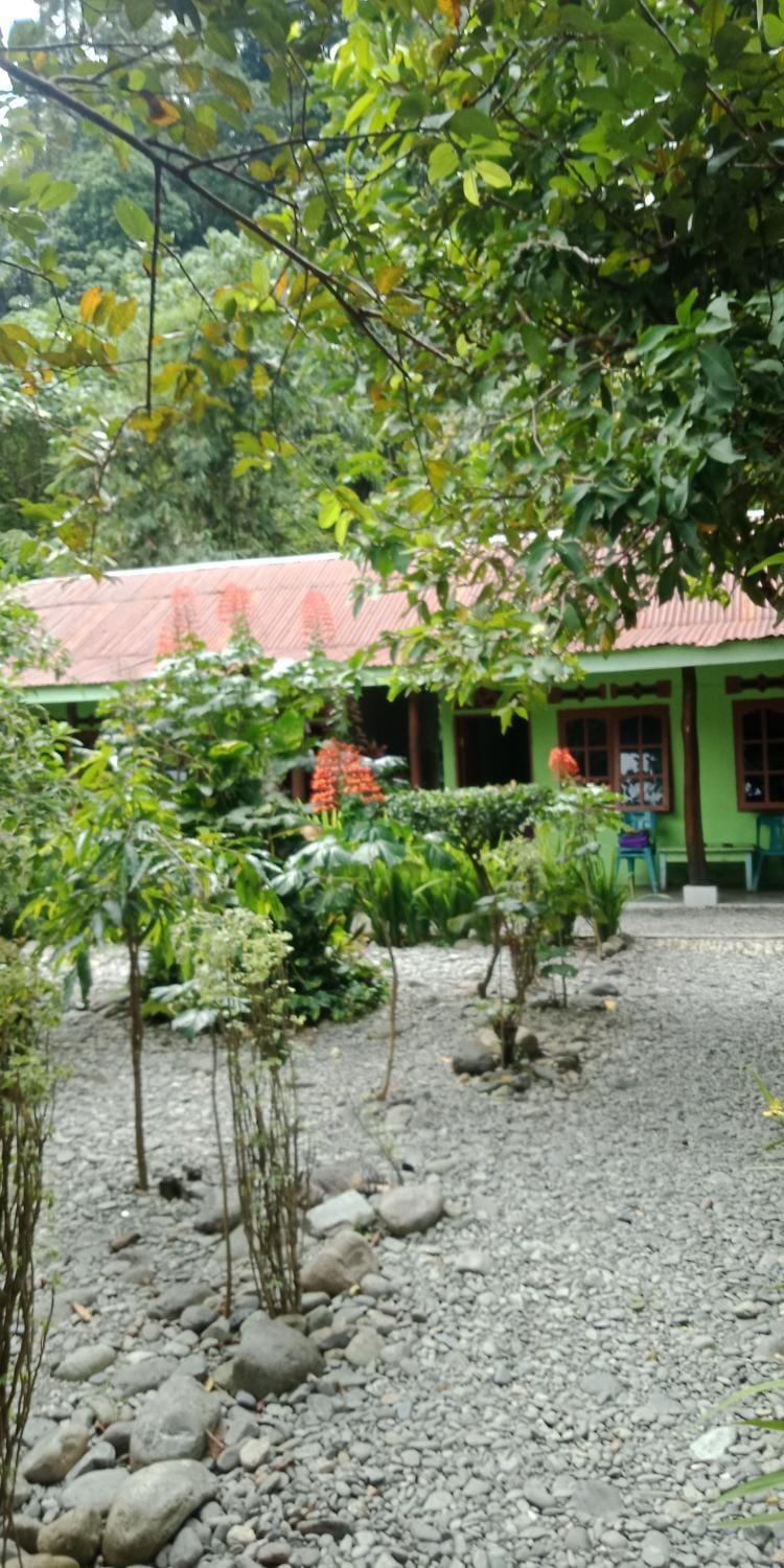 Jungle house and treking Fun Only Treking With Us Apartment in Indonesia