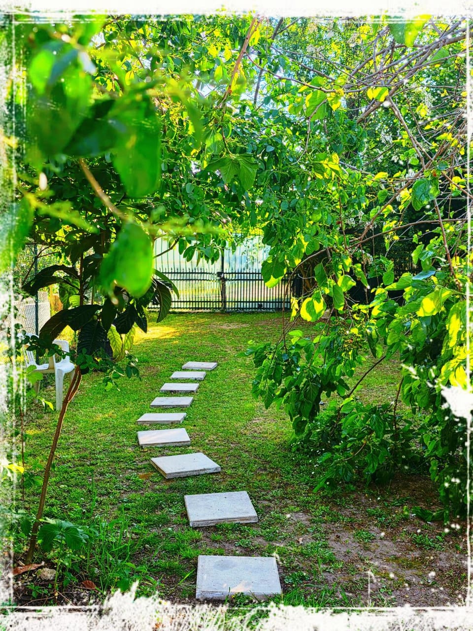 Gioia Montedoro Apartment in Viareggio