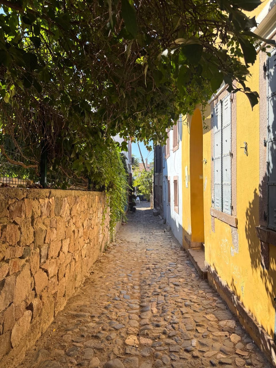 Day, Neighbourhood, Street view