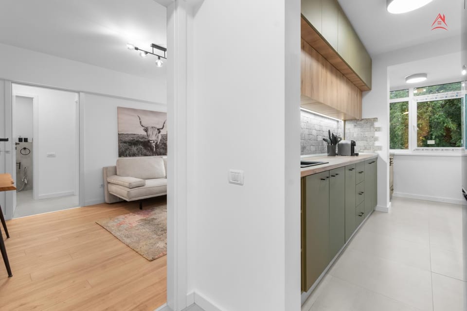 Bed, Kitchen or kitchenette, Photo of the whole room, Bedroom, stove