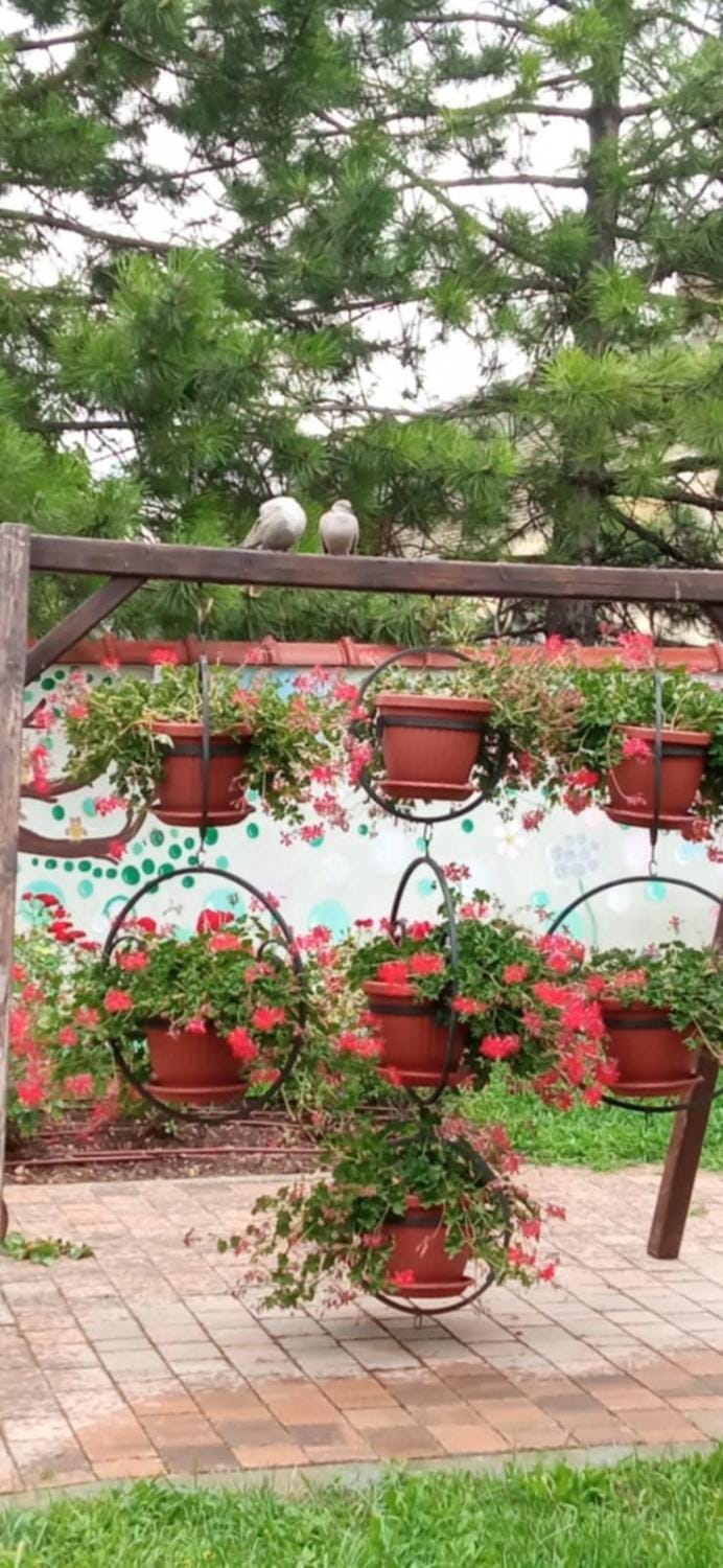 Etno apartman Apartment in Vojvodina