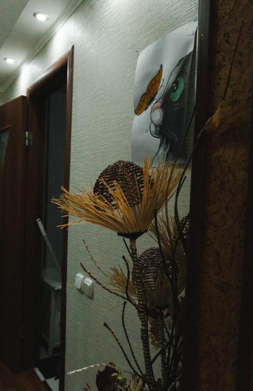 Квартира Apartment in Kazakhstan