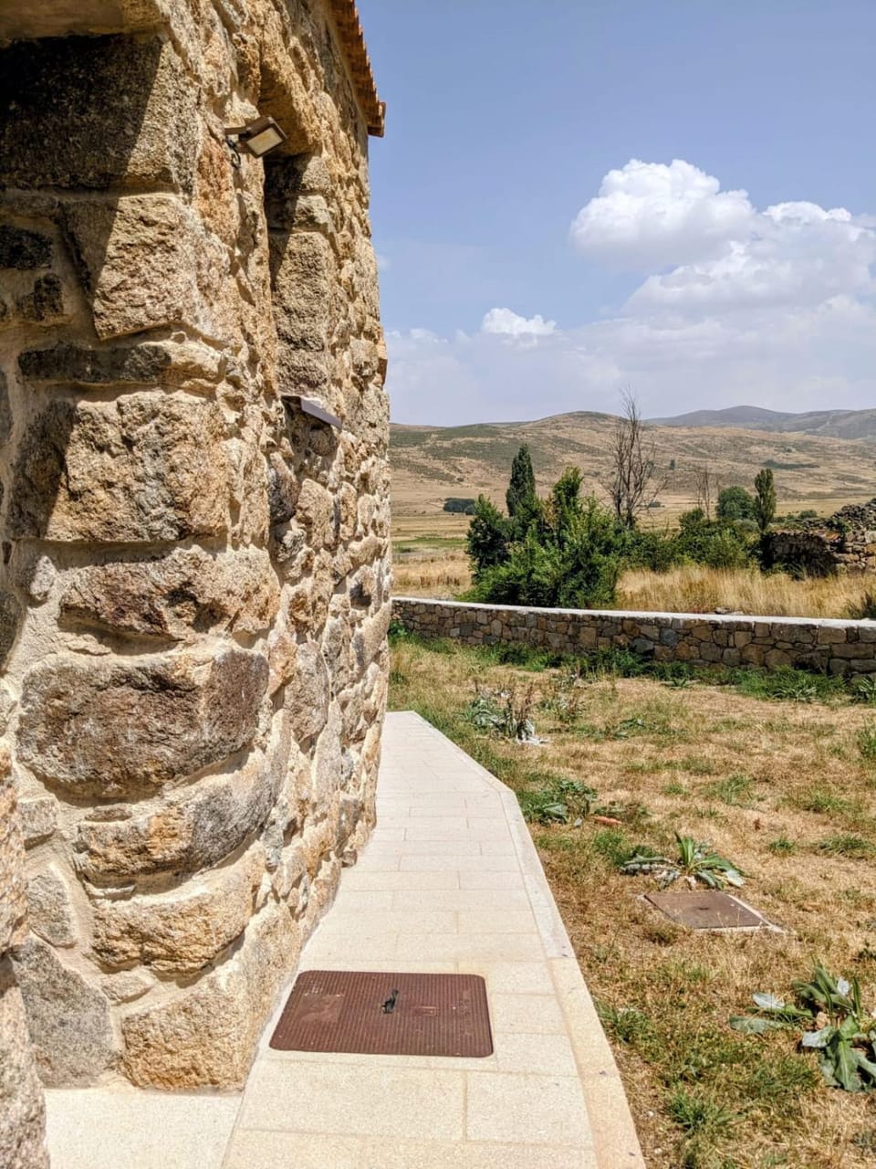 Garden view