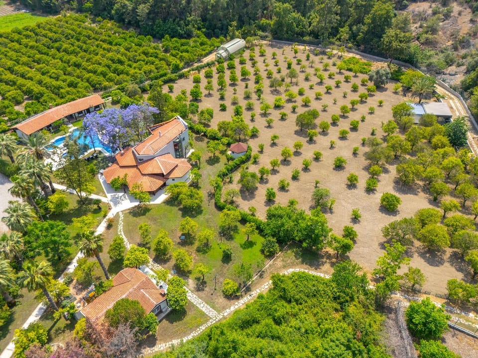 Bird's eye view, Garden