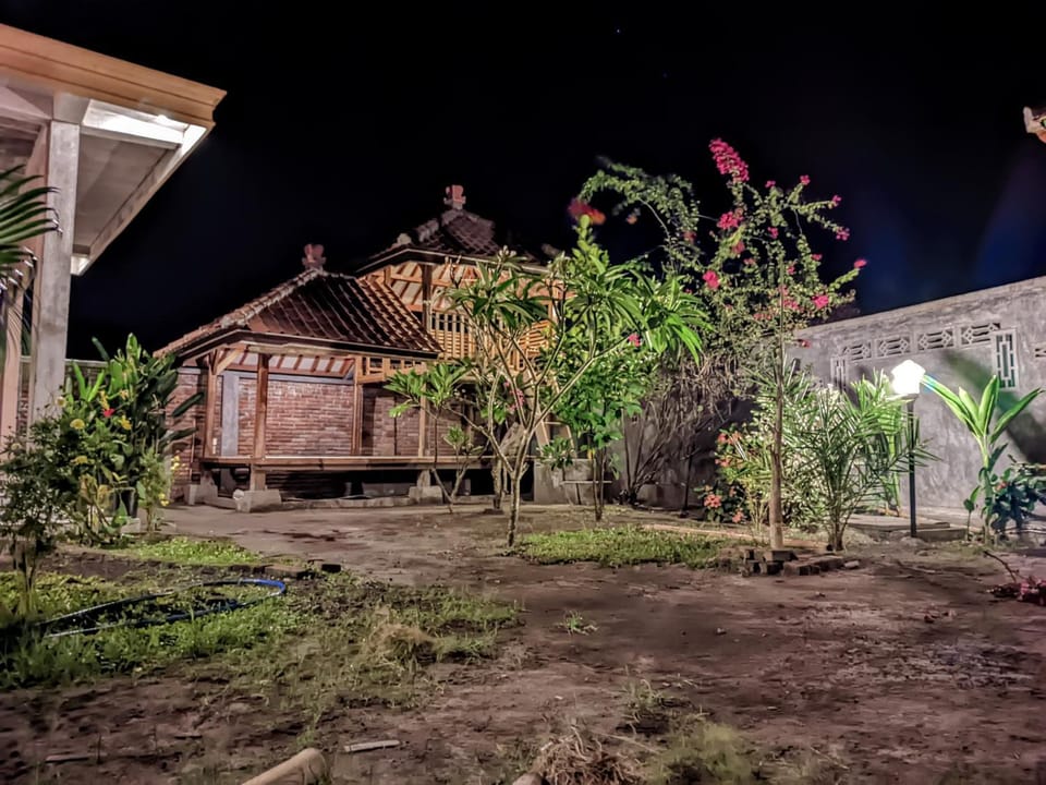 Property building, Spring, Night, Garden, Garden view