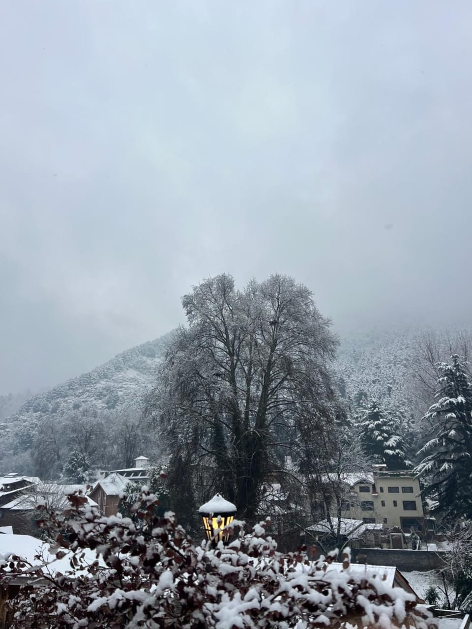 Winter, Mountain view