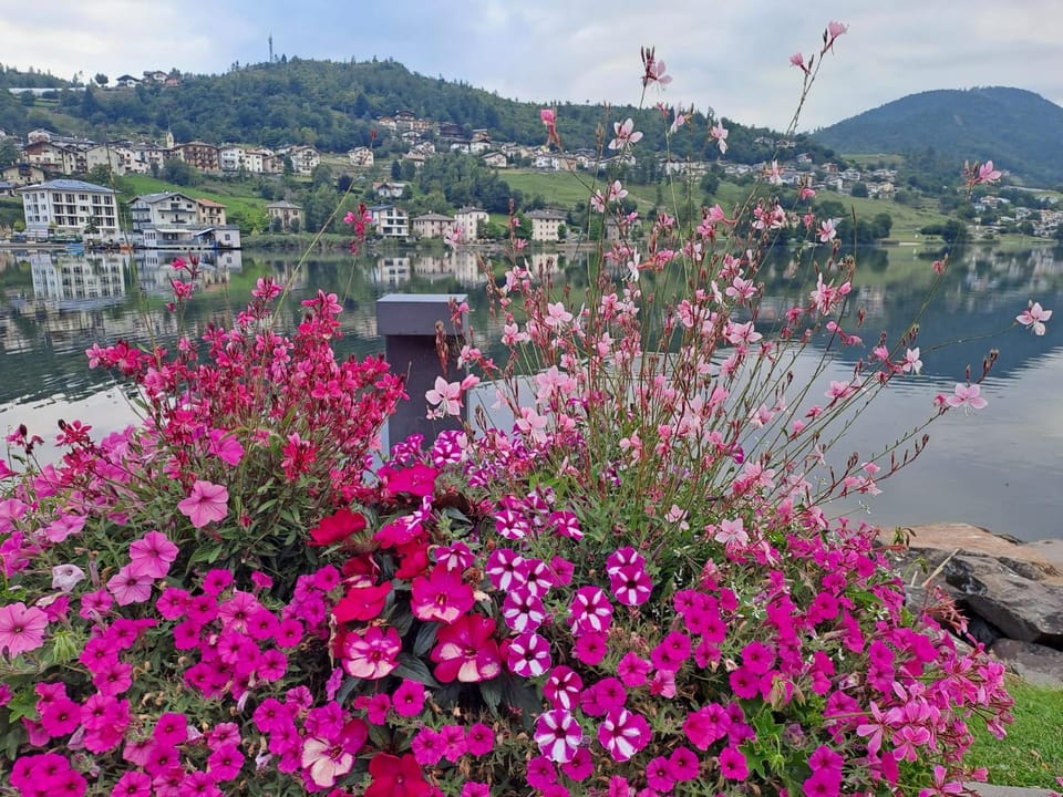 Riflessi sul lago Apartment in Trentino-South Tyrol