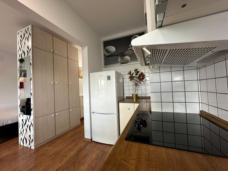 Orzycka Studio Near Westfield Mokotow Apartment in Warsaw