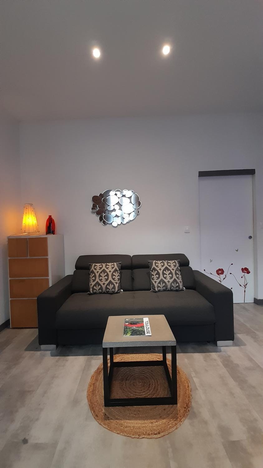 Canal du Midi Apartment in Toulouse