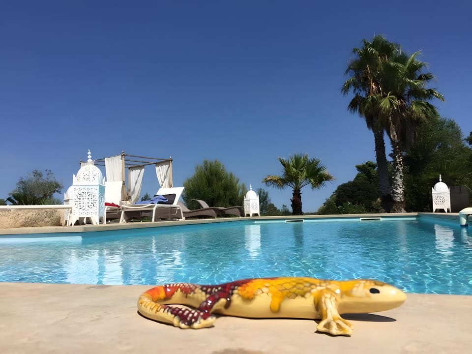 Property building, Living room, Swimming pool