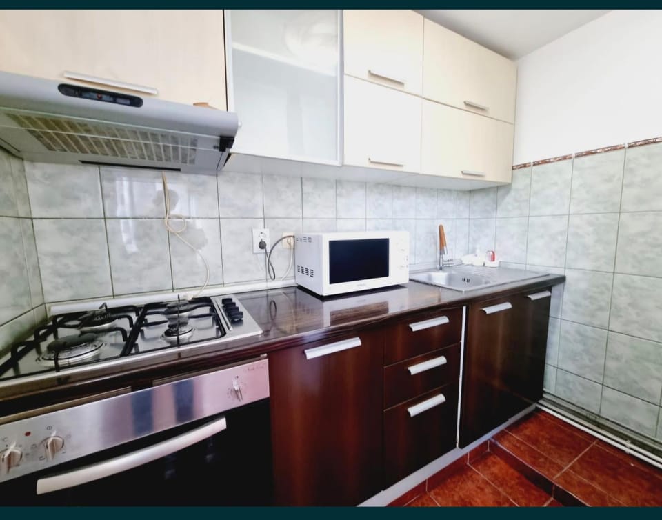 Mazepa Apartment in Romania