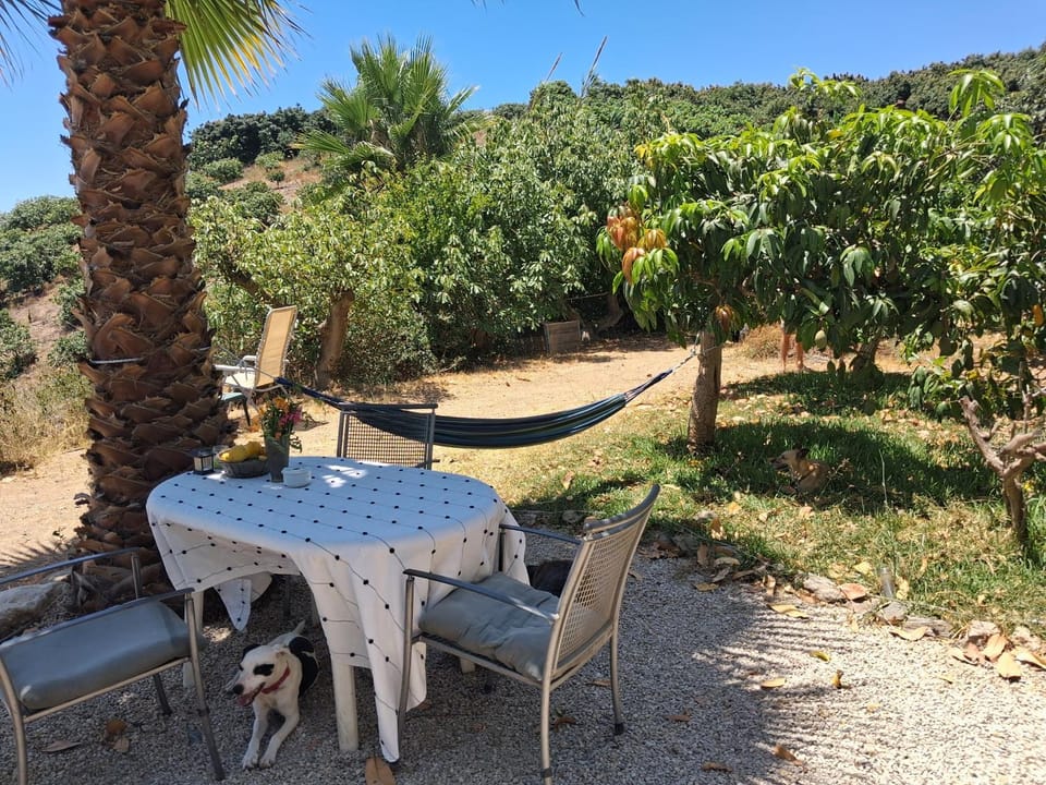Caravan in Finca Molino in Almayate with Pool, Sea Views, Family Family Touch & Dog Madness Campground/ 
RV Resort in Axarquía
