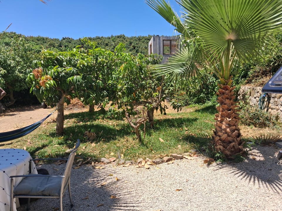 Caravan in Finca Molino in Almayate with Pool, Sea Views, Family Family Touch & Dog Madness Campground/ 
RV Resort in Axarquía