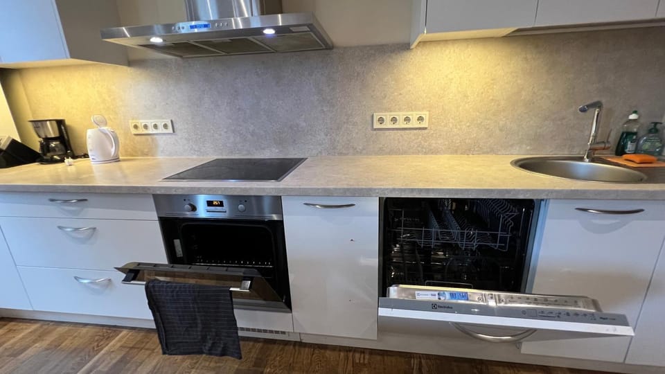 Kitchen or kitchenette, dishwasher, stove