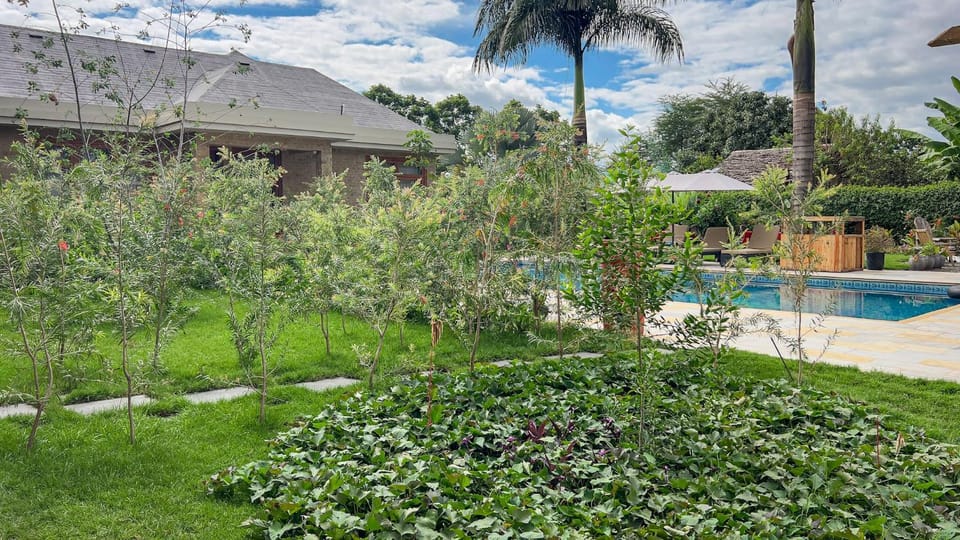 Natural landscape, Garden, Garden view, Swimming pool