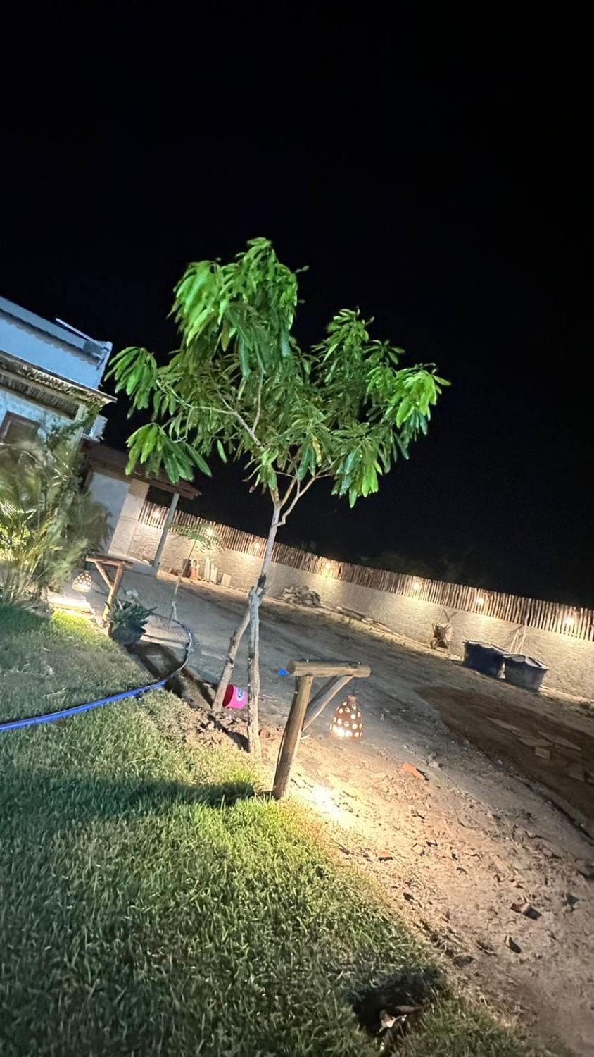 Suite Cajueiro Bed and Breakfast in State of Ceará