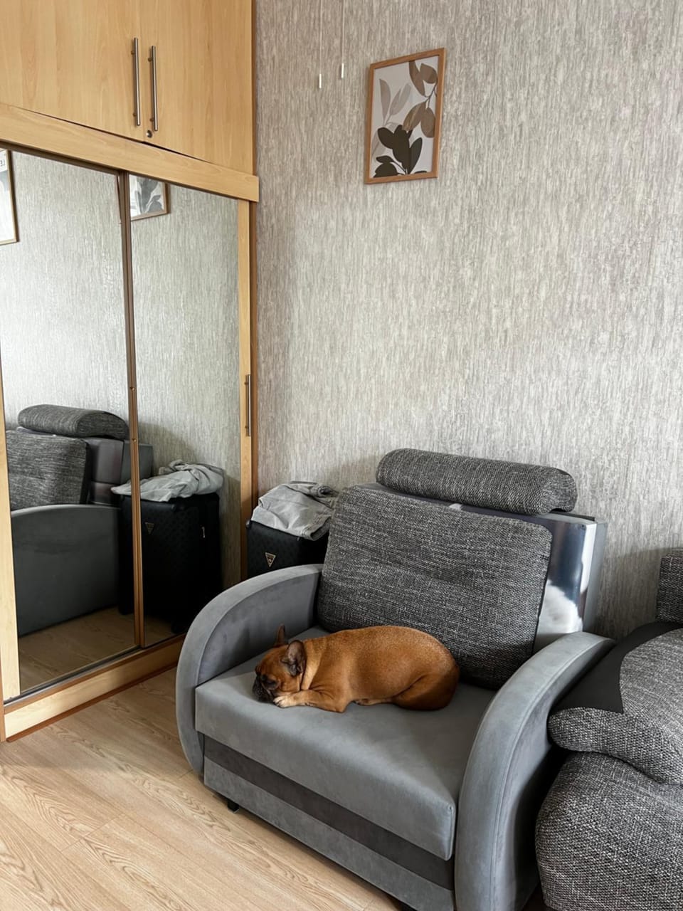 Palanga centre apartament Daukanto Apartment in Palanga