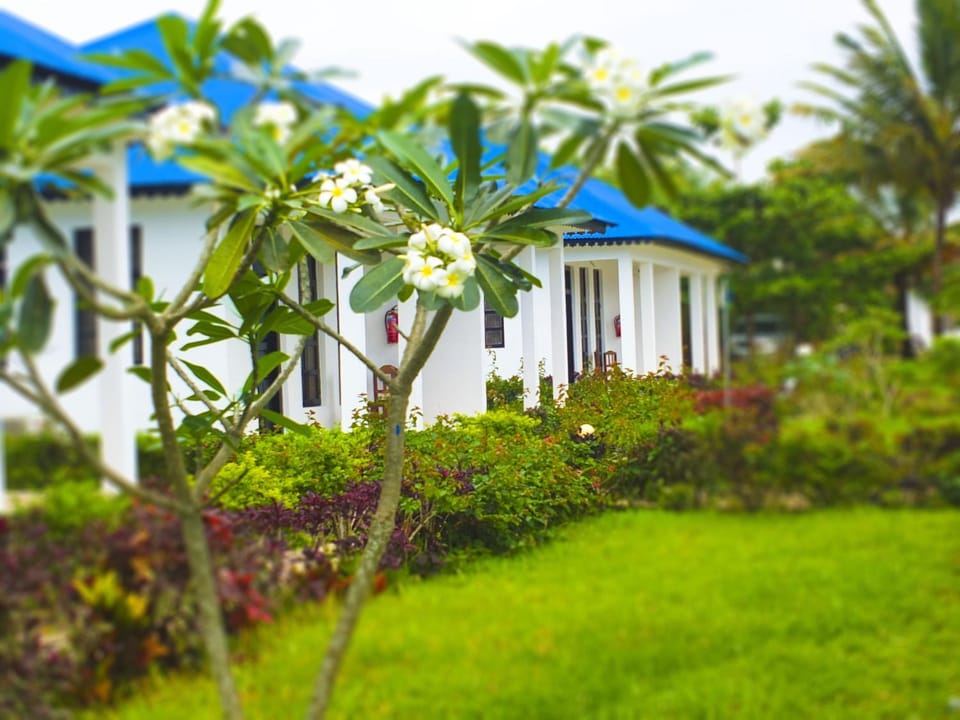 Natural landscape, Garden