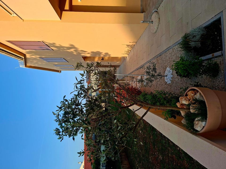 D2Olive House Villa in Biograd na Moru