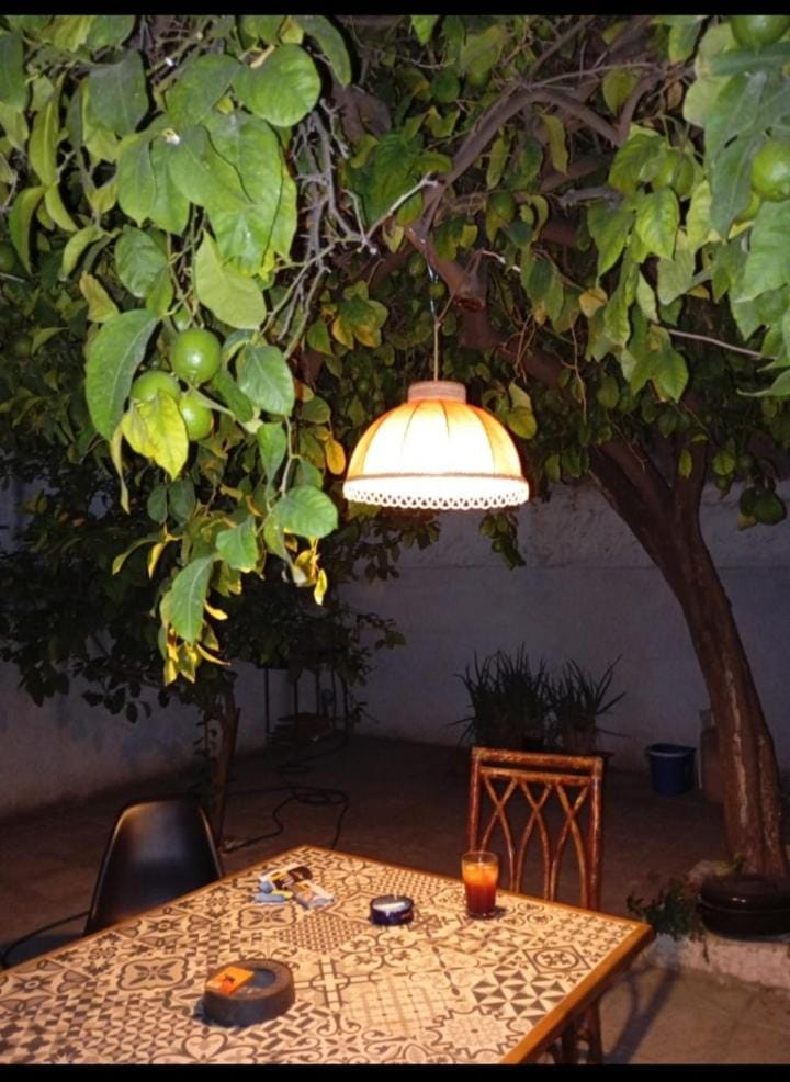 Lemon tree's House in Athens Apartment in Athens