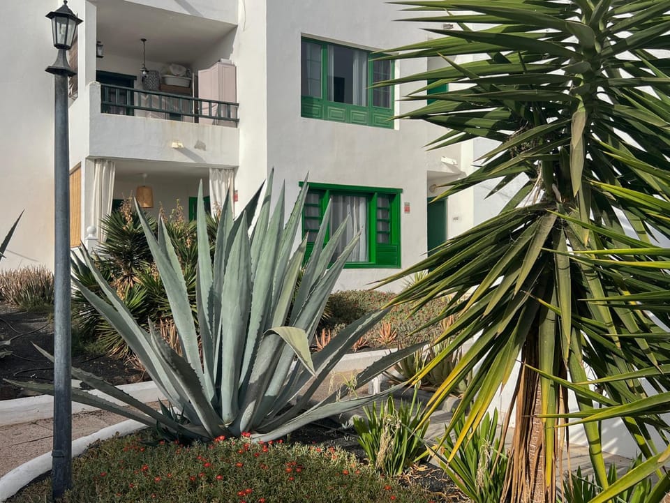 Property building, Garden, Garden view