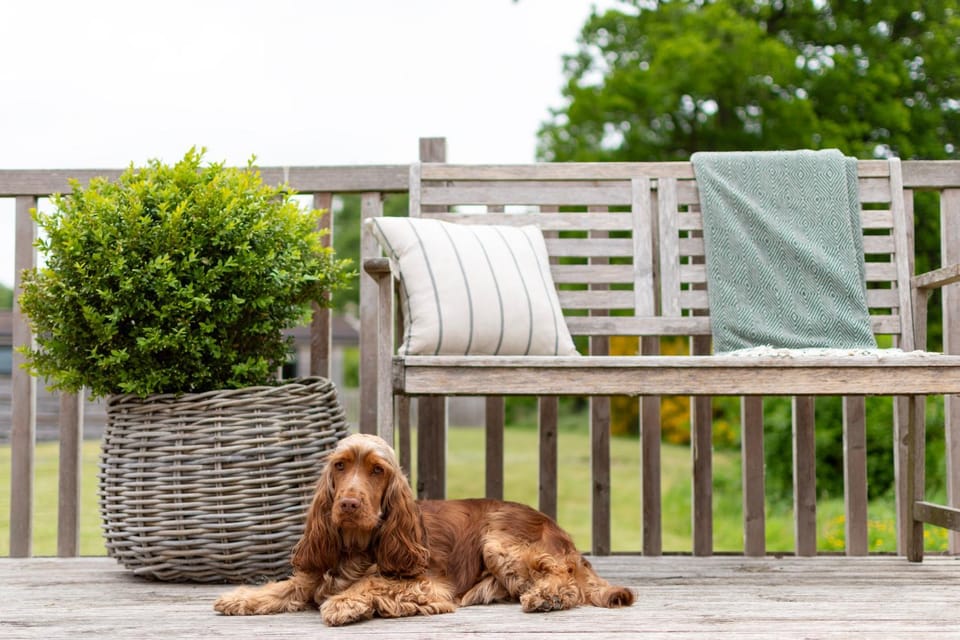 Balcony/Terrace, Pets