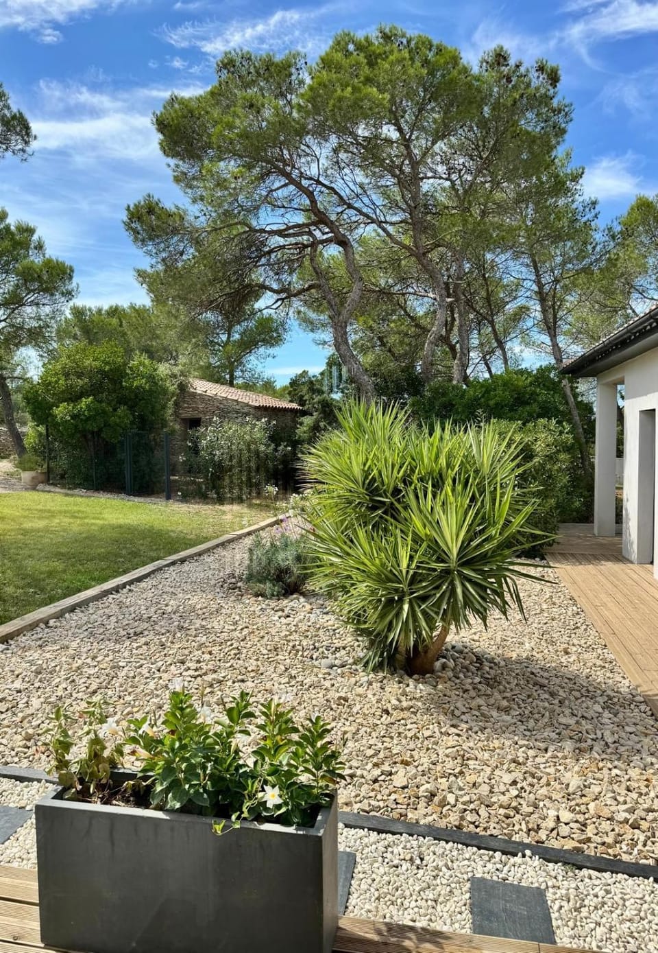 Garden view