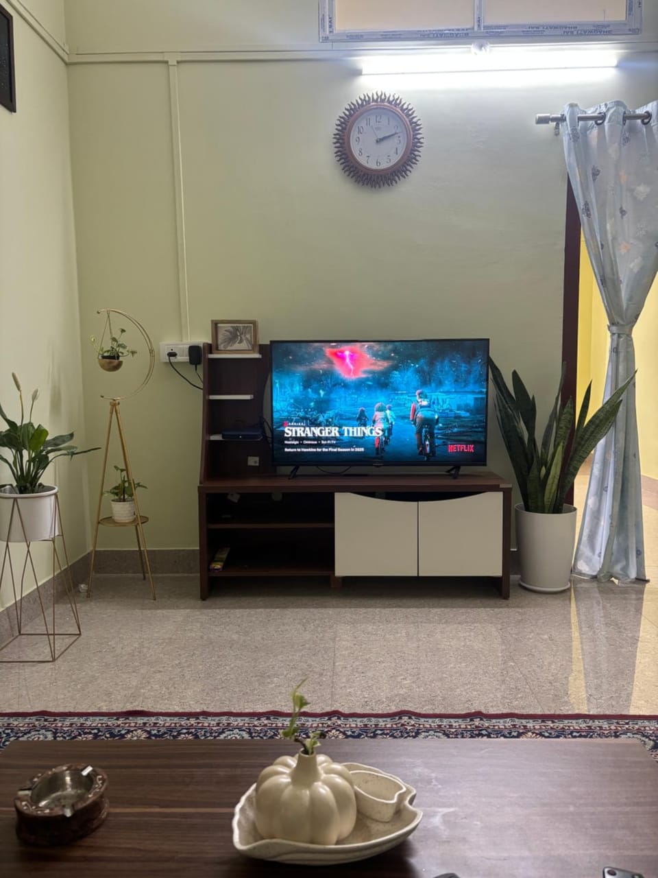TV and multimedia