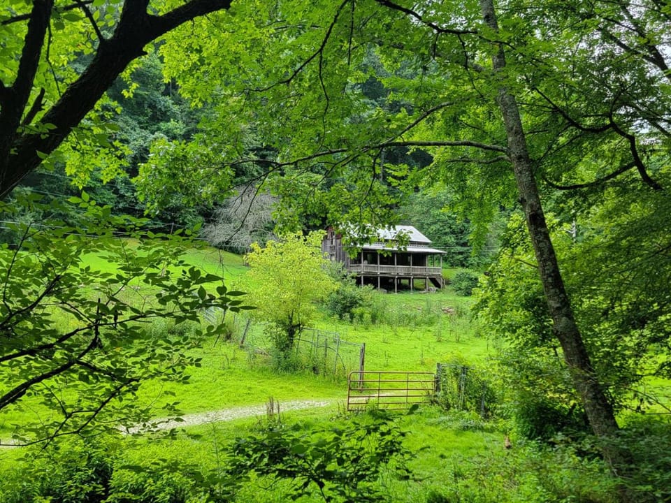 Boons Camp Cabin Cabin in Kentucky
