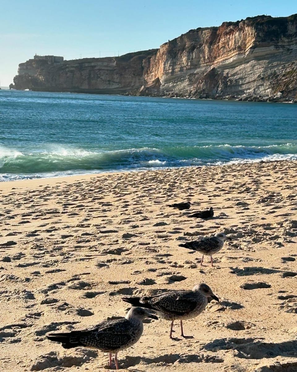 Nazaré Sol Apartment in Nazaré