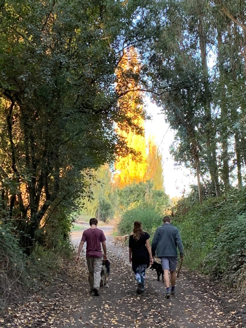 group of guests