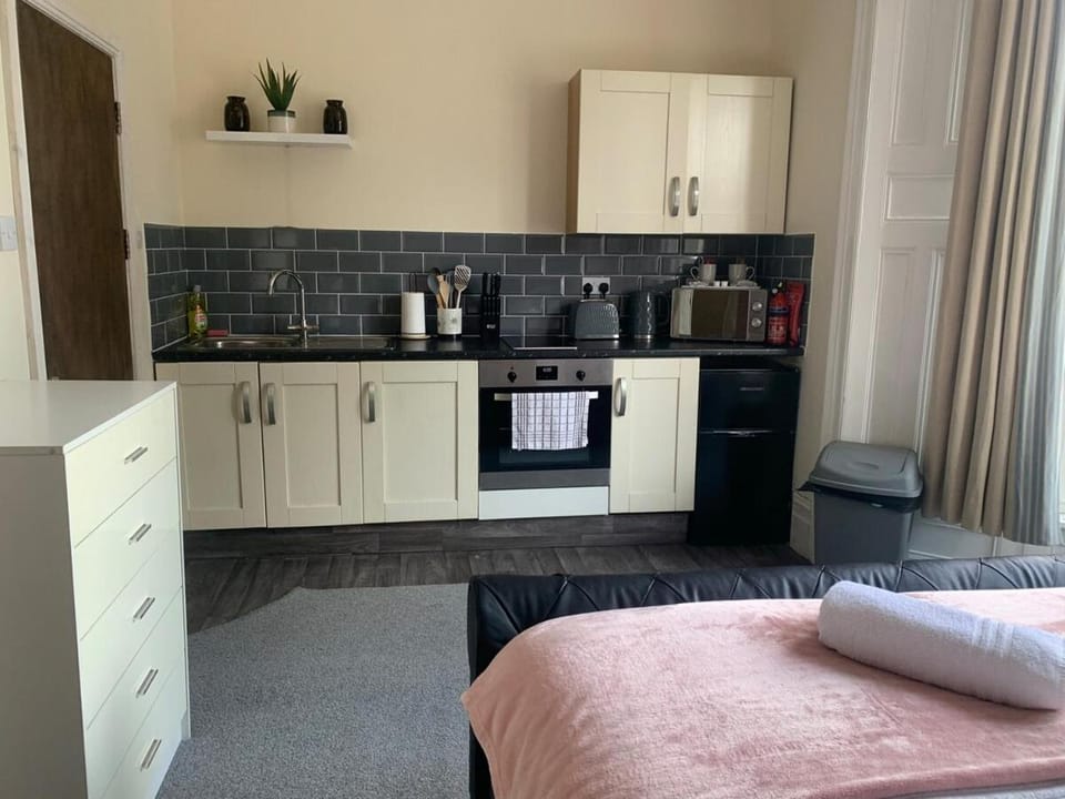 155 Studio 1 - Uplands Apartment in Swansea