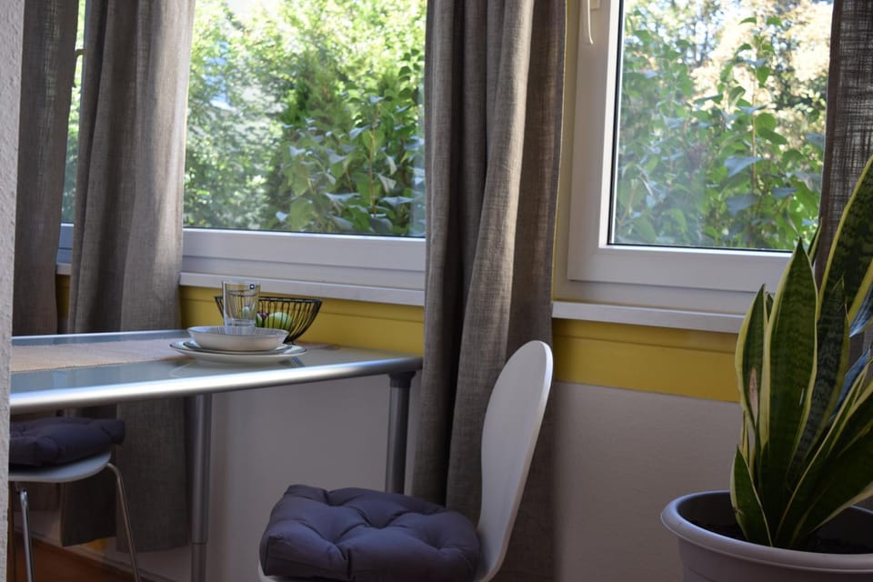 New Modernes City Apartment mit WLAN zentral und ruhig gelegen Apartment in Magdeburg