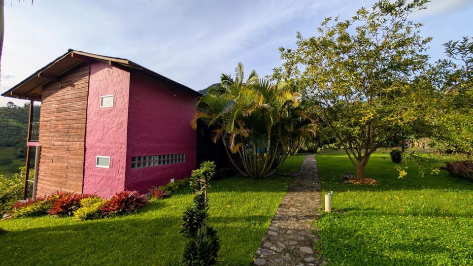 Natural landscape, Garden view