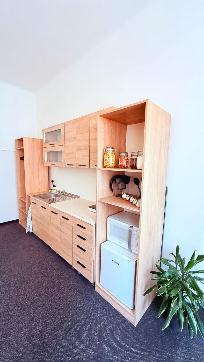 Kitchen or kitchenette, minibar, stove