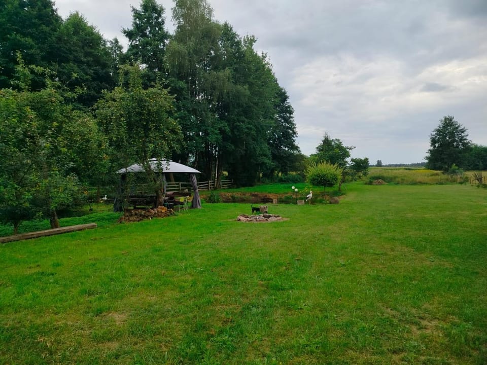 Natural landscape, Garden, Garden view