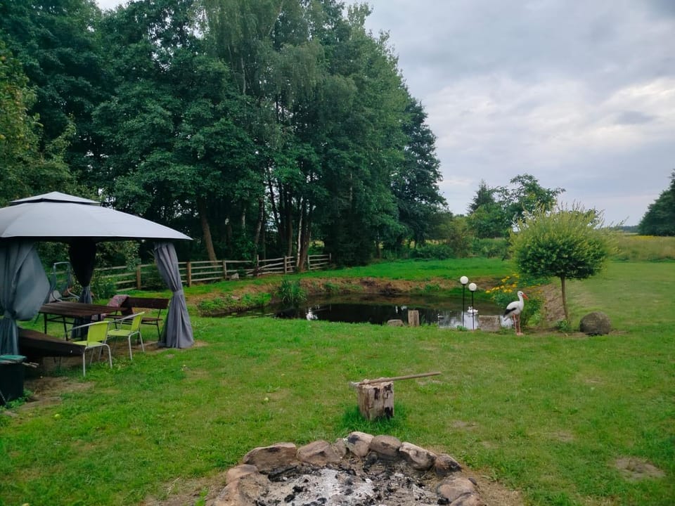 Natural landscape, BBQ facilities, Garden, Garden view