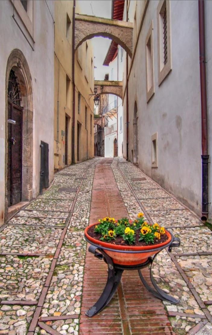 Neighbourhood, Street view