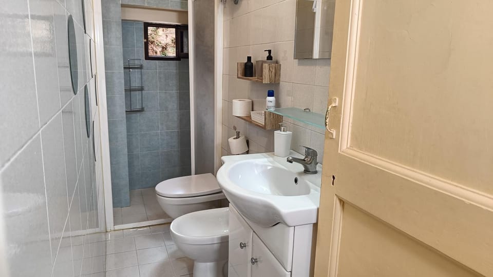 Shower, Toilet, Bathroom, bidet