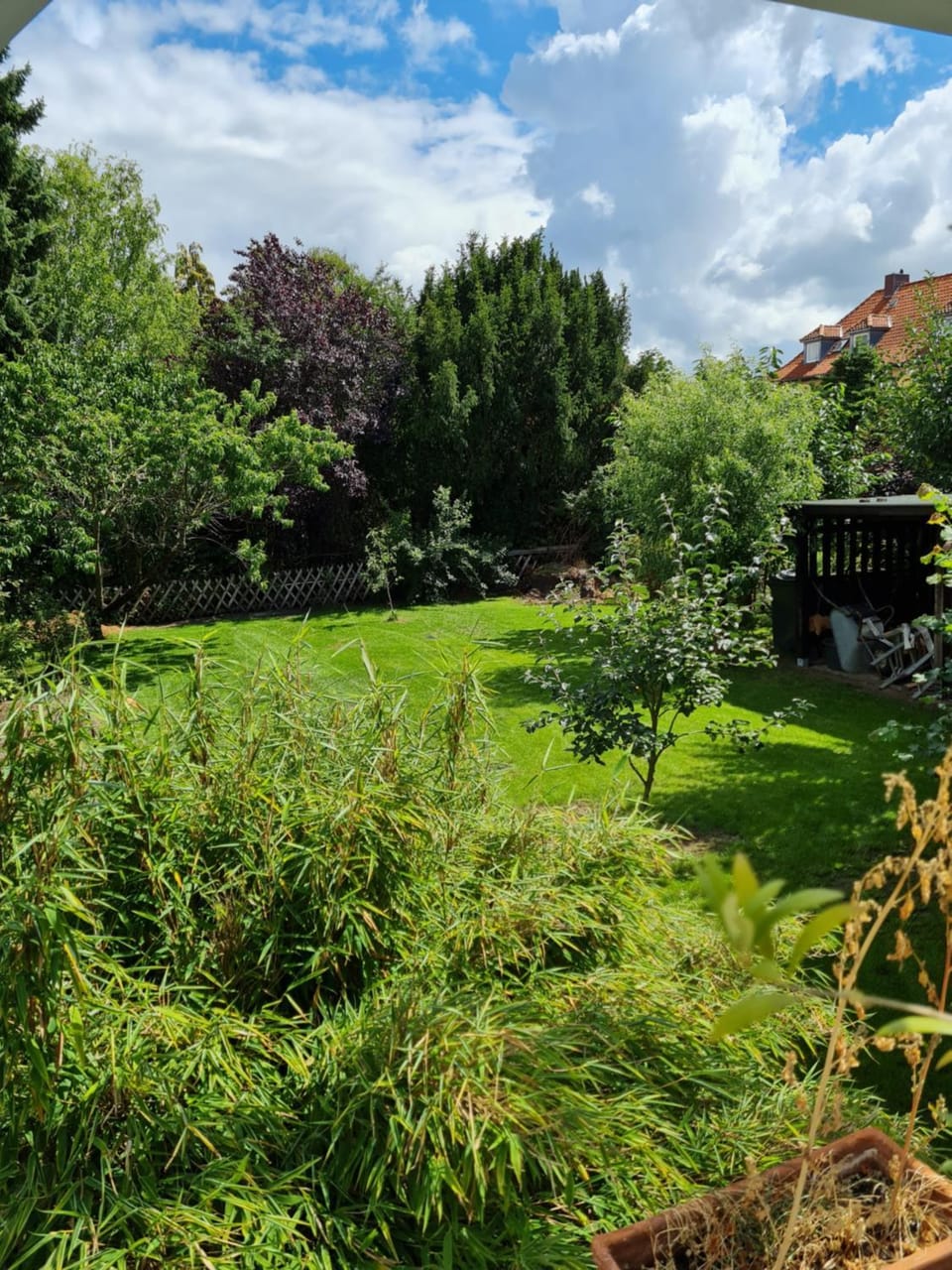 Garden view
