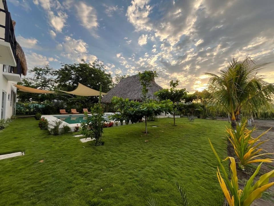 Natural landscape, Garden, Garden view