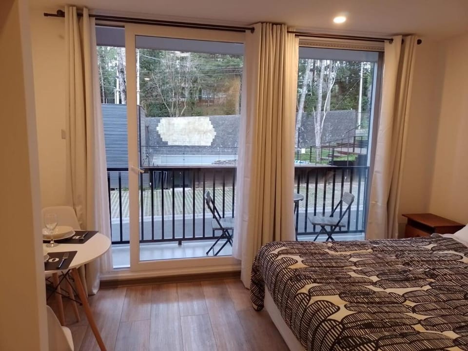 DEPTO para 2 o 3 P Apartment in Pucon