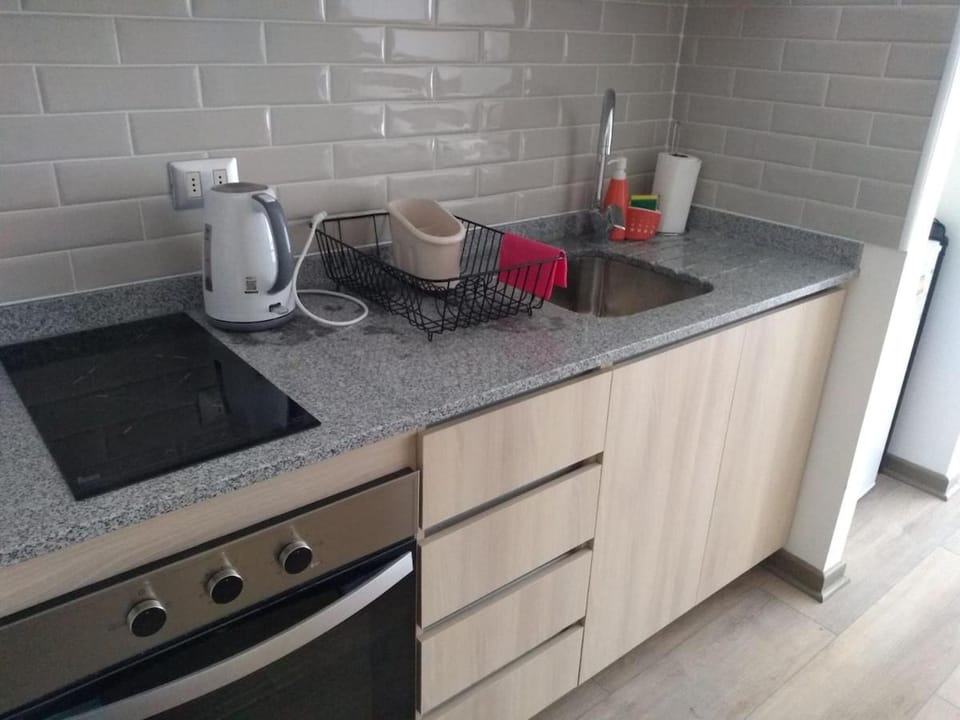 Depto 105-A Apartment in Pucon
