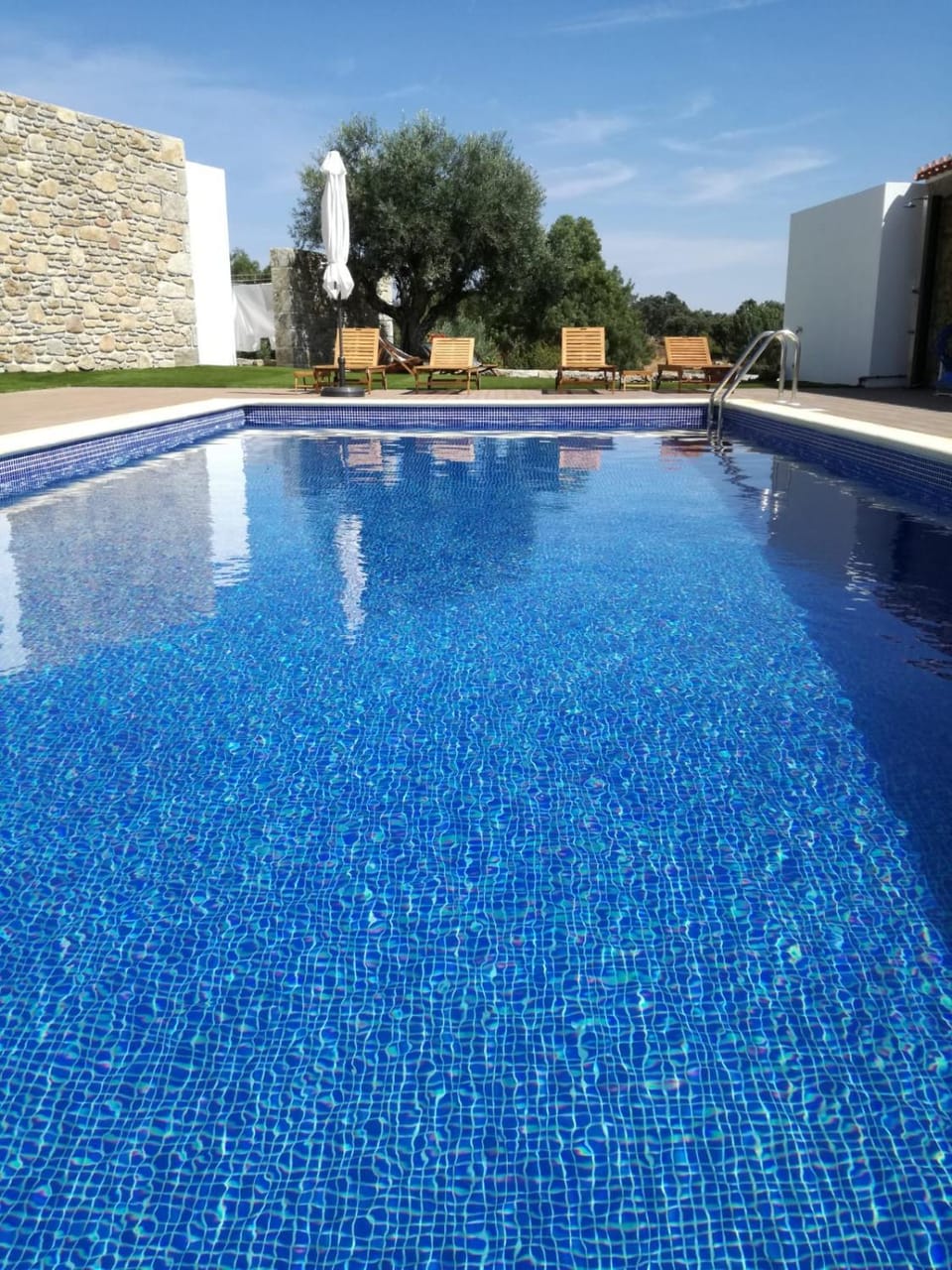 Garden, Swimming pool