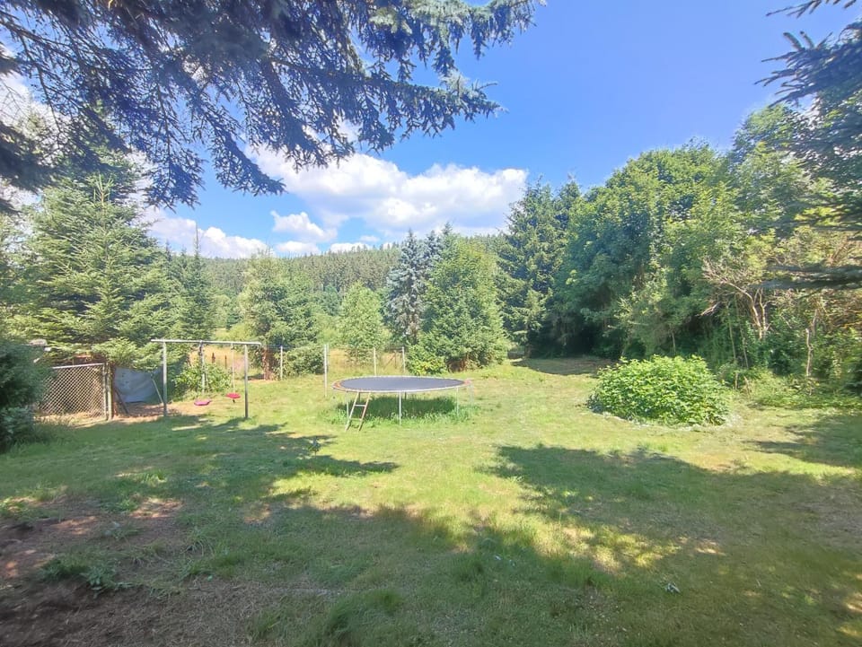 Day, Natural landscape, Garden, Garden view