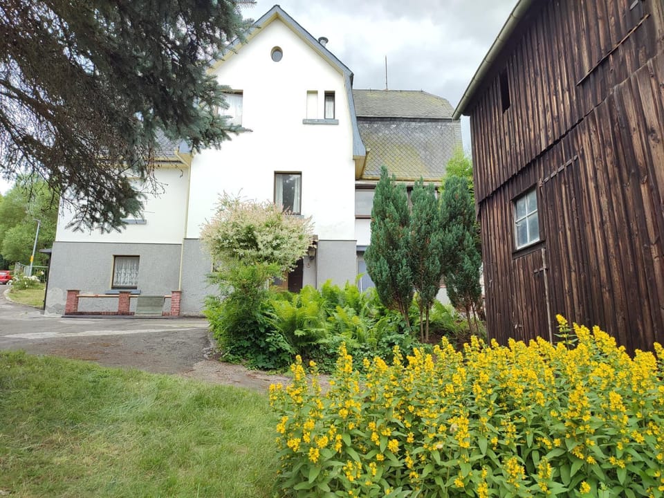 Property building, Day, Garden, Garden view