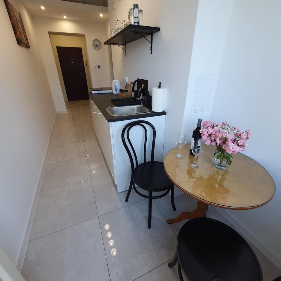 Apartment Frida-Podwale-Balcony-Free-Parking-WiFi Apartment in Wroclaw