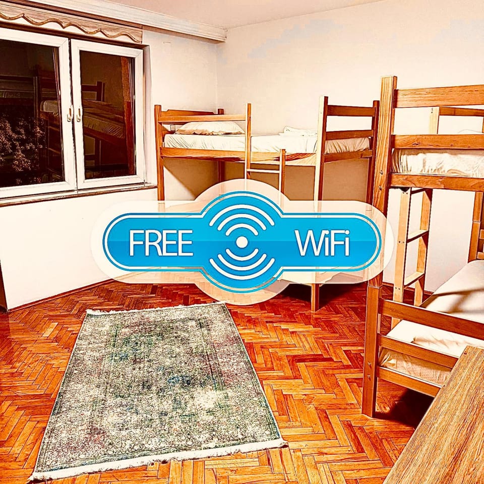 Bed, Photo of the whole room, Bedroom, bunk bed