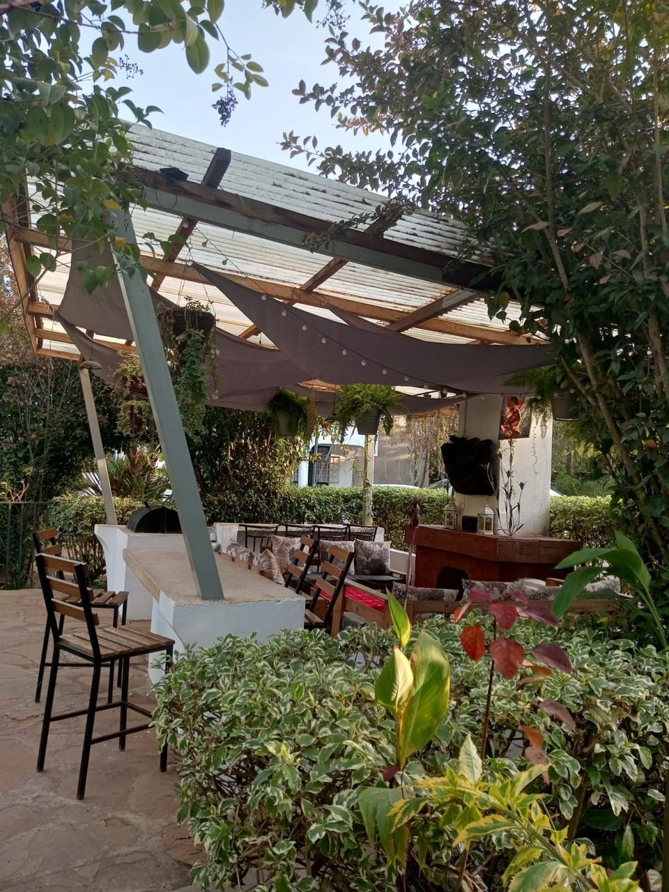 Patio, Garden