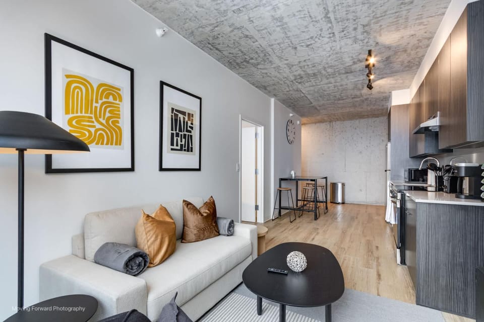 South Loop Rooftop With In and Out Parking 2 Apartment in South Loop